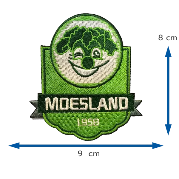 Officiële Moesland badge